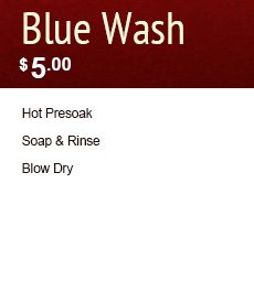 Blue Wash $6.00